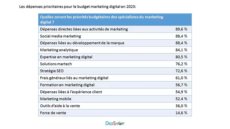 Les dépenses prioritaires des responsables marketing digital en 2023